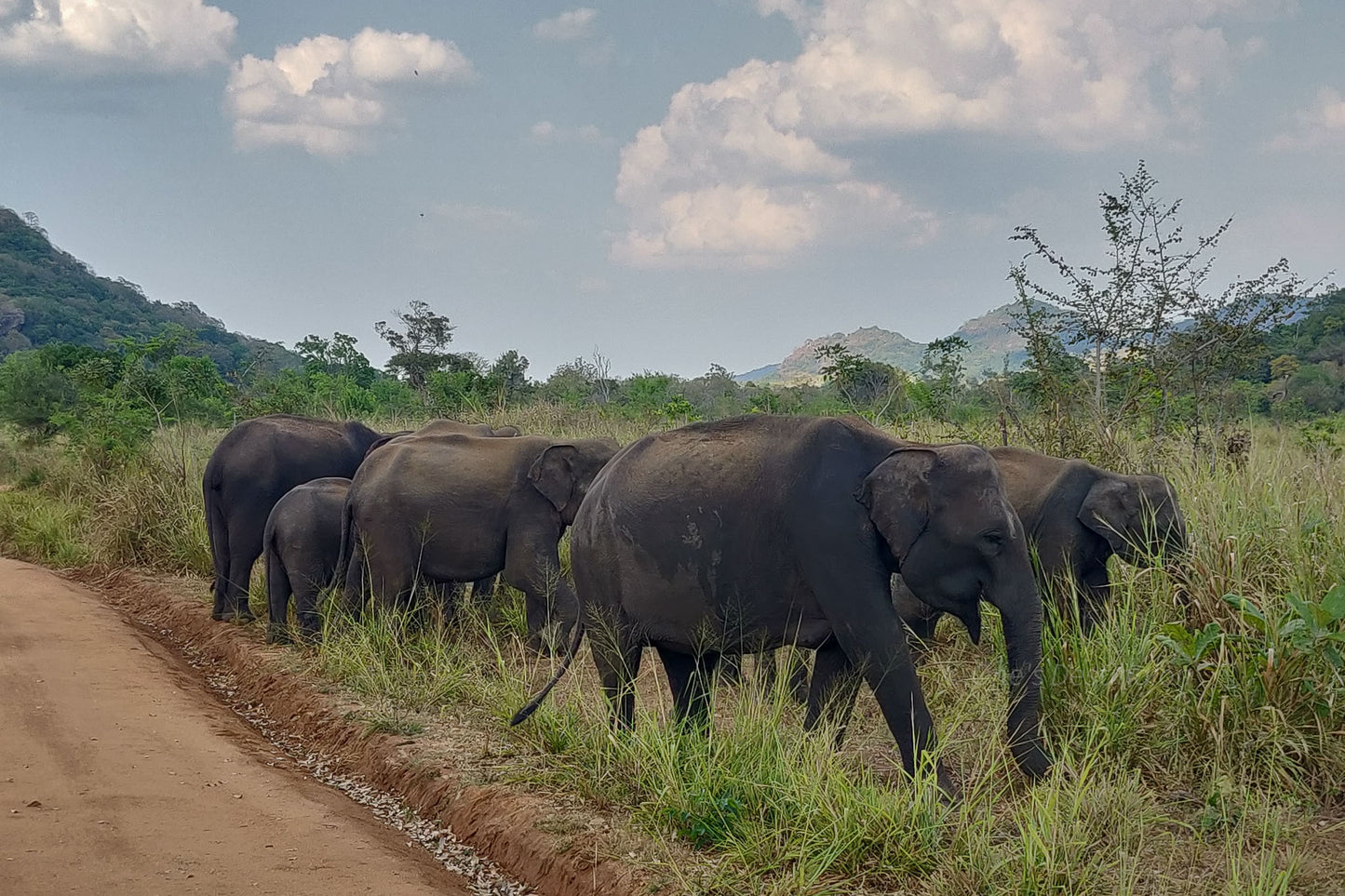 Hurulu Eco Park Private Safari