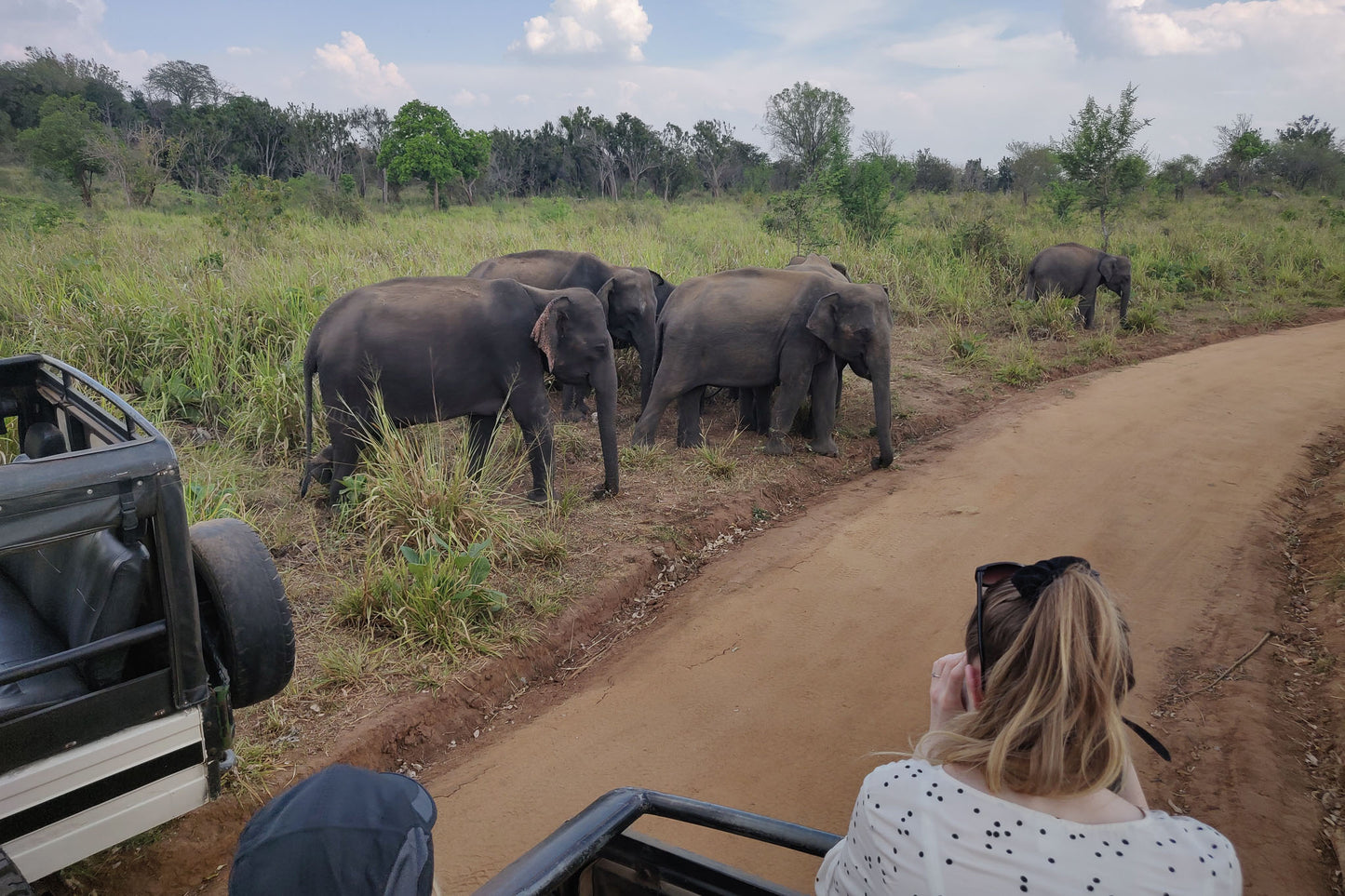 Hurulu Eco Park Private Safari