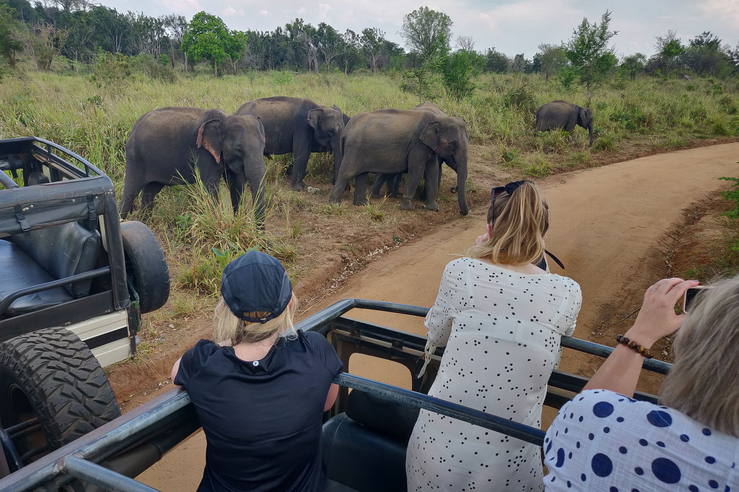 Hurulu Eco Park Private Safari