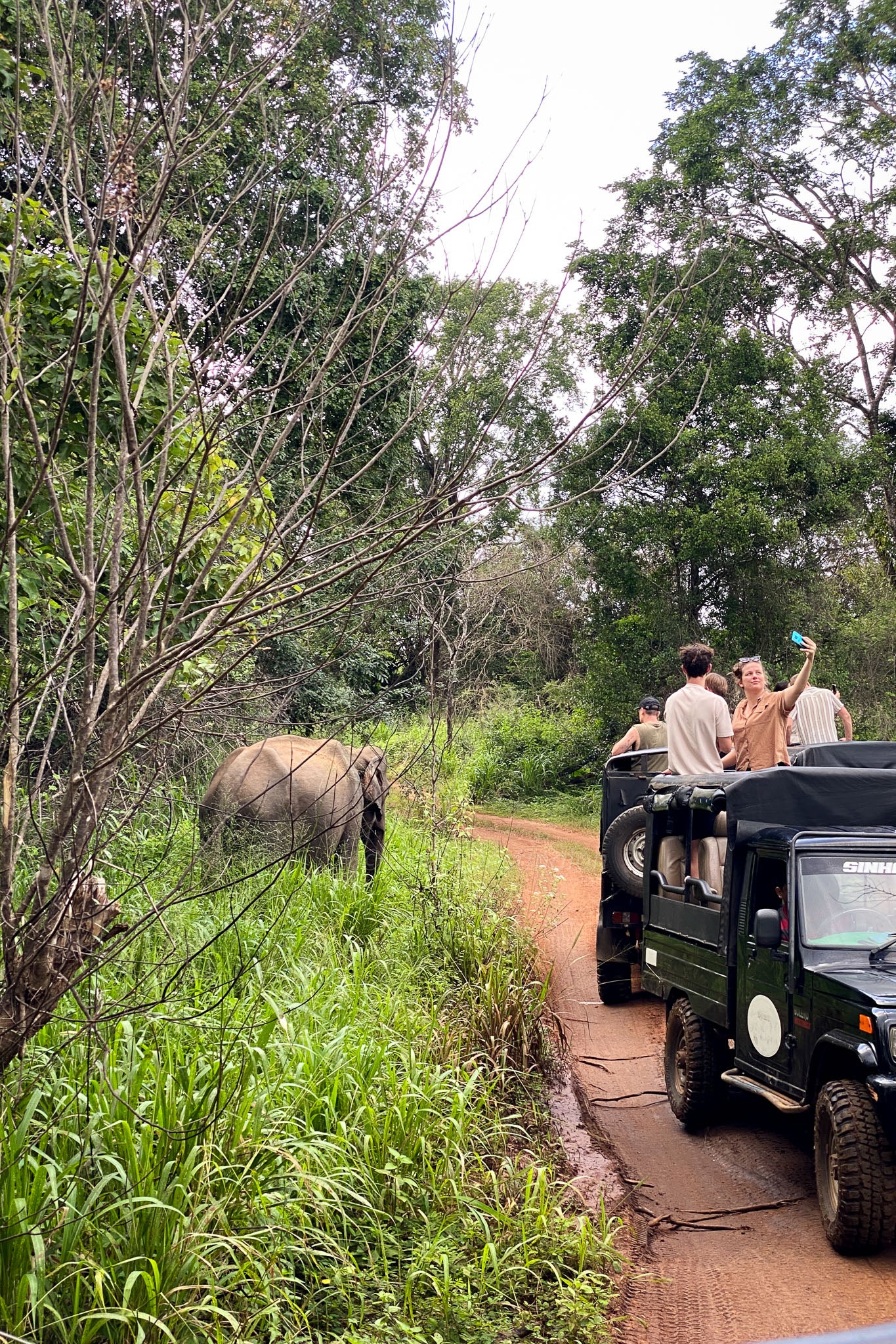 Hurulu Eco Park Private Safari