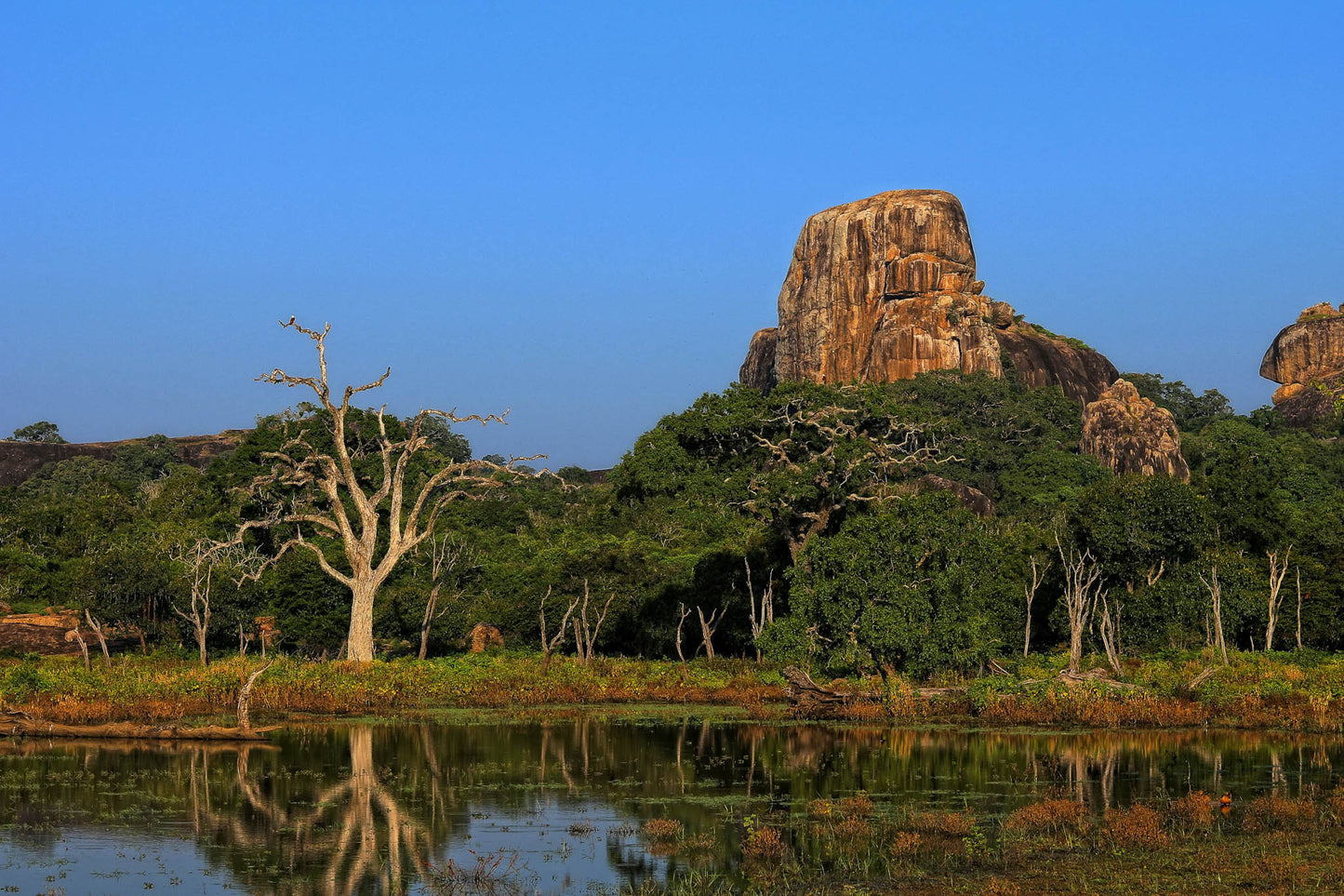 Scenic photograph inside Yala National Park, Sri Lanka
