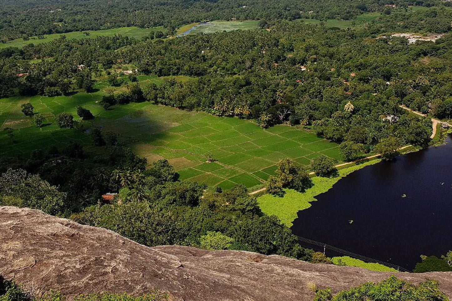 Ancient Kingdoms Trail from Negombo