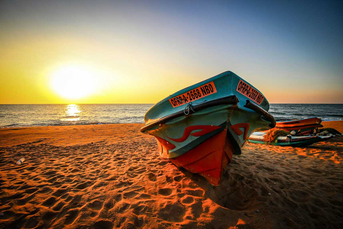 Day Tours from Negombo
