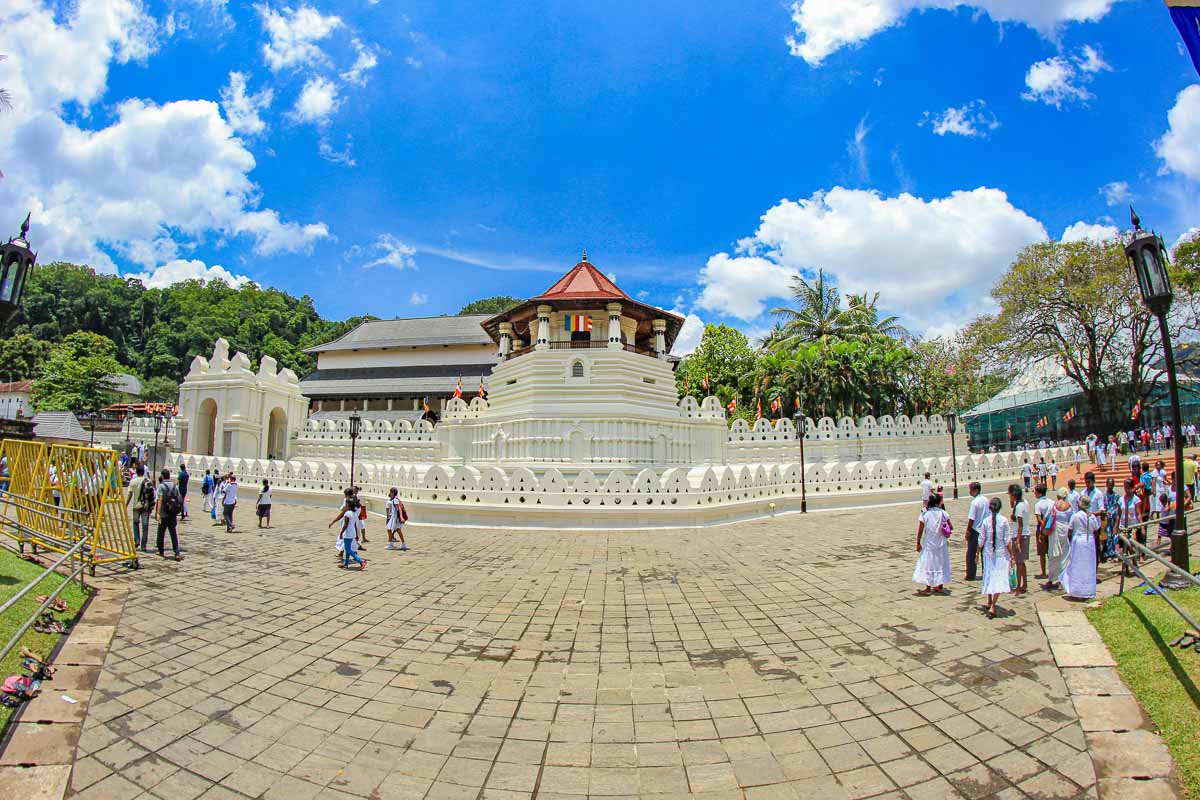 Day Tours from Kandy