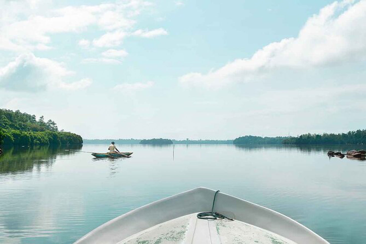 Birdwatching in Muthurajawela Marsh