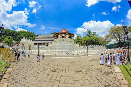 Kandy City Tour from Negombo