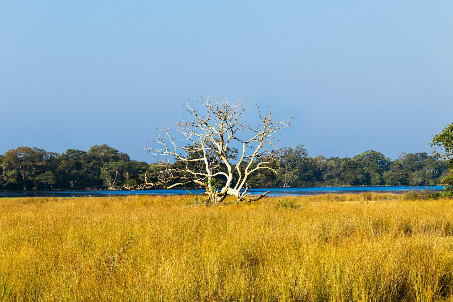Wilpattu National Park Private Safari