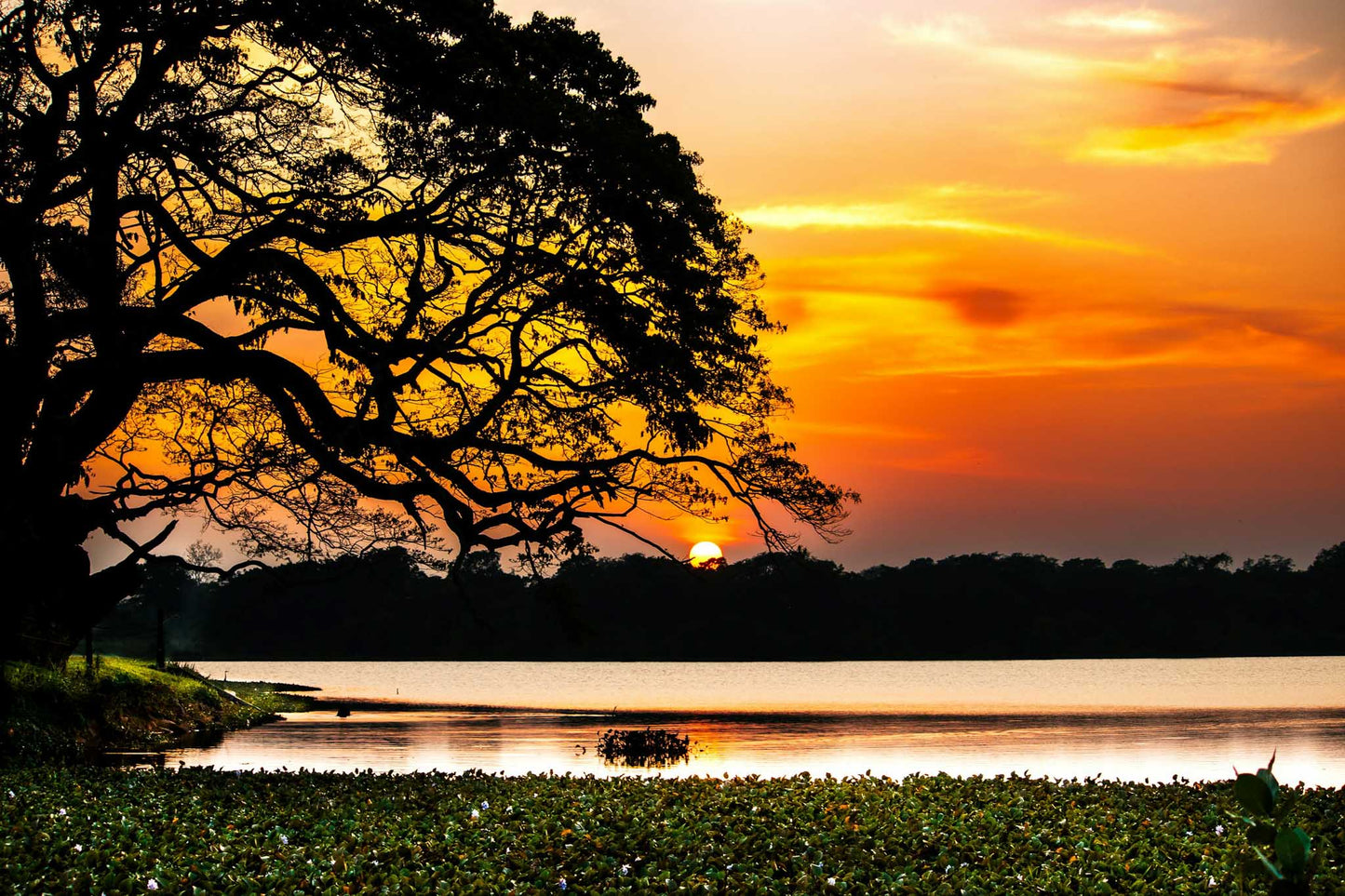 Wilpattu National Park Private Safari